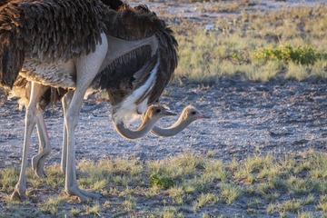 _IMG3718_DxO