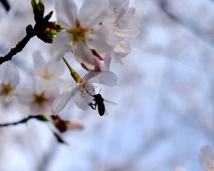 001
