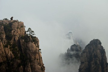 DSC_7332_1