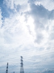 322025