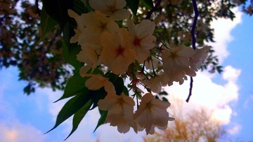 wp_20150323_18_01_39_pro_