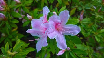 wp_20150323_18_03_01_pro_