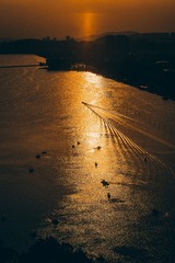 C5D3E2B6-D869-4F26-928F-B77EC0B2E963/L0/001