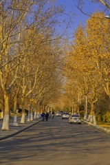 3E91A8DB-42FB-447E-982B-A2B899AD3B4A/L0/001