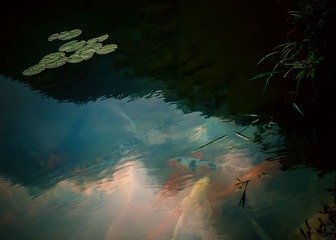 DSC00053-210000__
