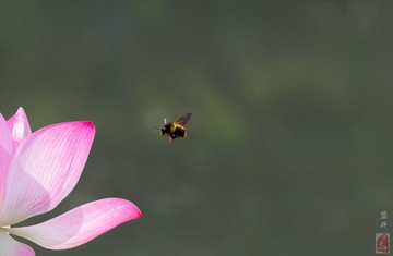 IMG_1417-6_