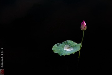IMG_1551-3_