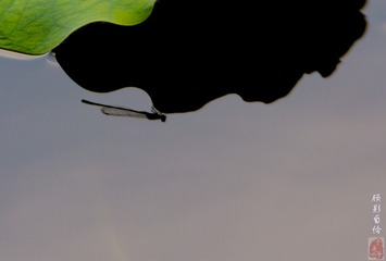 IMG_1560-3_