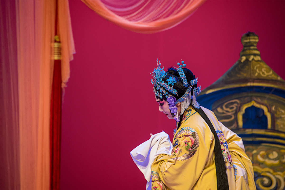 河北梆子朱元璋斩婿剧照1石家庄市河北梆子剧团演出王琳主演