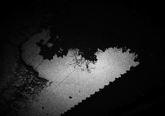 _0026394