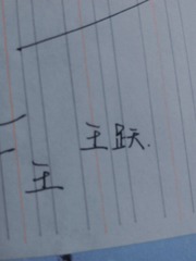 80036