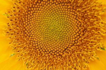照片 0191_