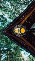 郁郁葱葱