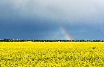 300249