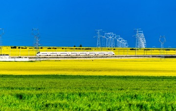 300254