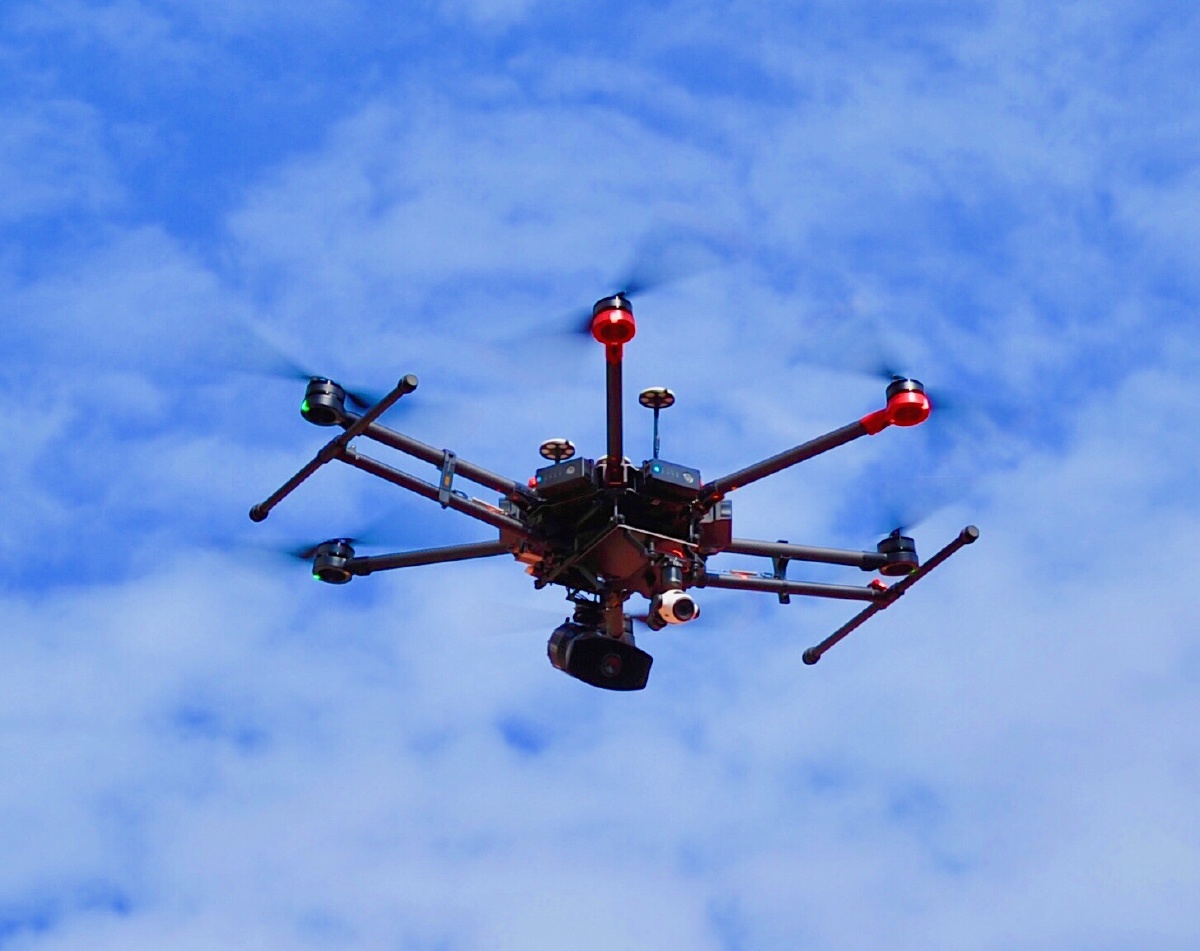 邂逅- 啊华勒 - 图虫网 - 最好的摄影师都在这