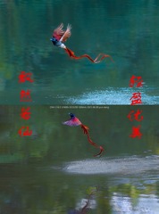 B465C0FE-09E7-4A96-8078-DD8AFB5E6CED/L0/001