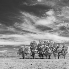 IMGP3588-1