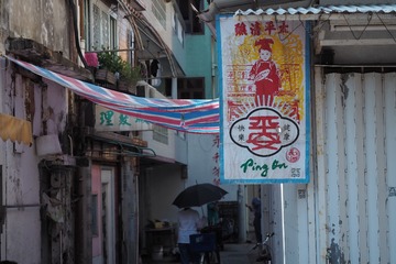 P8060133