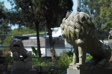 P8060147