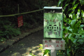 P7090716