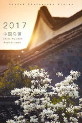 乌镇封面