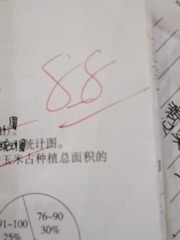 287667