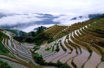 云海天梯3