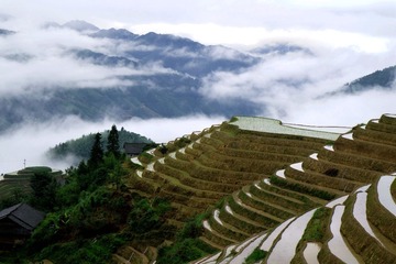 云海天梯4_