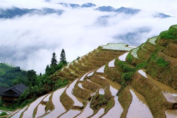 云海天梯1