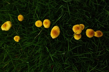 SDIM0077