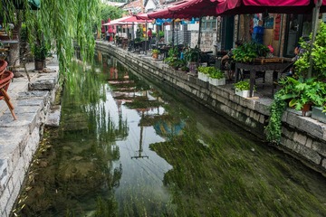 _DSC0517