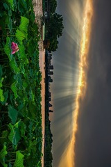 _DSC0988-??-??-??-??-01