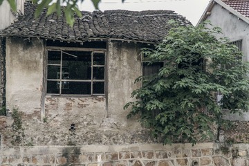 196461