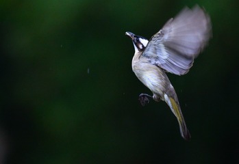DSC_6961-2