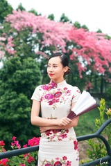帆姐旗袍-7