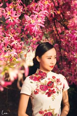 帆姐旗袍-14