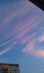 PIC_20130814_184532_34A