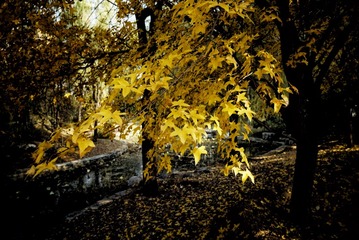 DSC02930-02-01