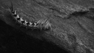 P6091672