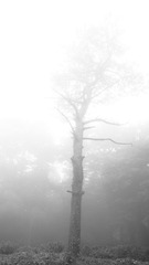P6091685
