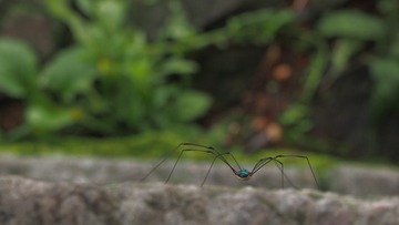 P6091707