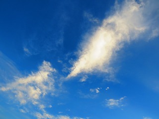 20160927173943_IMG_4236