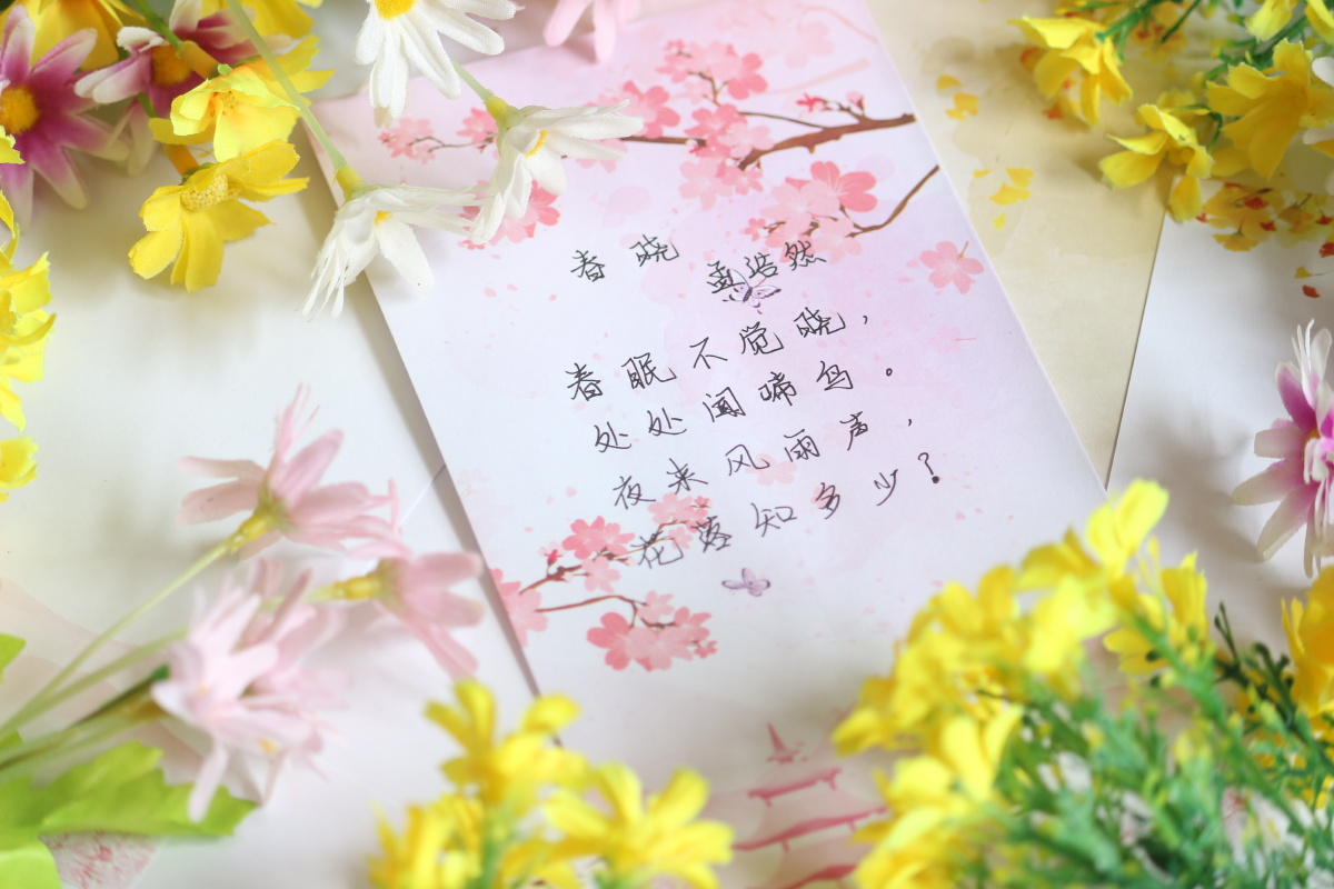 春晓孟浩然唐代春眠不觉晓处处闻啼鸟夜来风雨声花落知多少