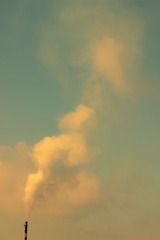IMG_2153-01
