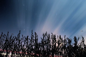 IMG_2260-03