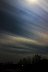 IMG_2264-01