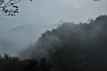 IMG_1646-01
