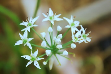 IMG_1530-01