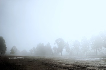 IMG_2083-01